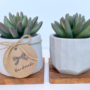 May include: Two small succulent plants in gray concrete pots, each on a square wooden base. One pot is cylindrical with a tag that says "Handmade". The other pot has a geometric design. The succulents have green and purple-tipped leaves.