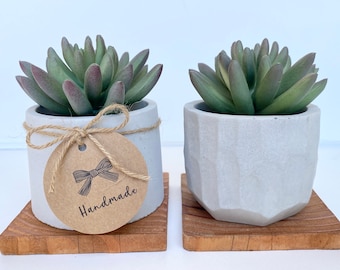 Artificial Succulent Ice Plant in handmade Concrete Pot with Wood Tray - Fake Plant - Floating Shelve Decor