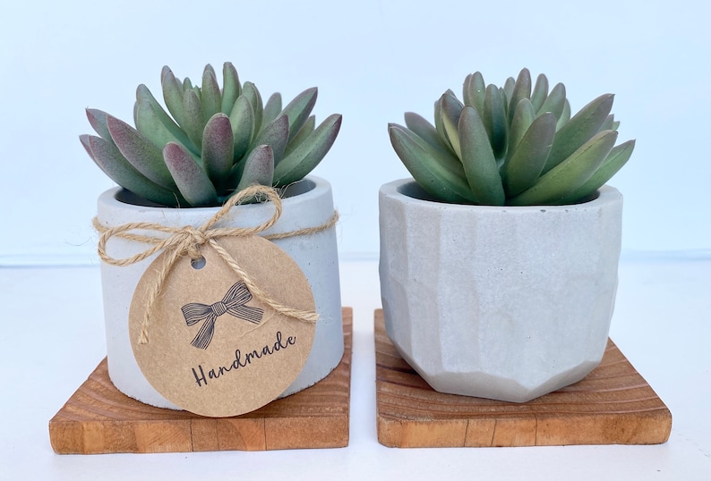 May include: Two small succulent plants in gray concrete pots, each on a square wooden base. One pot is cylindrical with a tag that says "Handmade". The other pot has a geometric design. The succulents have green and purple-tipped leaves.