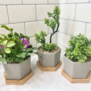 3 Small Artificial Plants in Grey Hexagon Pot with Bamboo Tray, Floating Shelf Decor Faux Plants, Fake Office Desk Plant High Quality