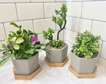 3 Small Artificial Plants in Grey Hexagon Pot with Bamboo Tray, Floating Shelf Decor Faux Plants, Fake Office Desk Plant High Quality
