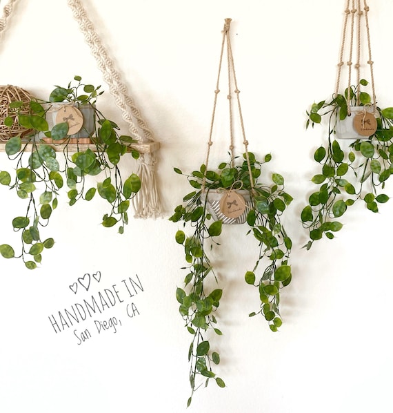 Hanging Faux Lunaria Plant in Handmade Concrete Pot - with Jute Twine or as Floating Shelve Decor - Farmhouse, Boho Decor