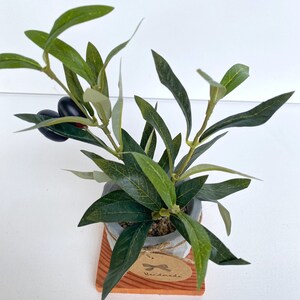 May include: A small potted olive tree with green leaves and black olives. The pot is made of grey concrete and sits on a small wooden base. The base has a brown tag that says "Handmade".
