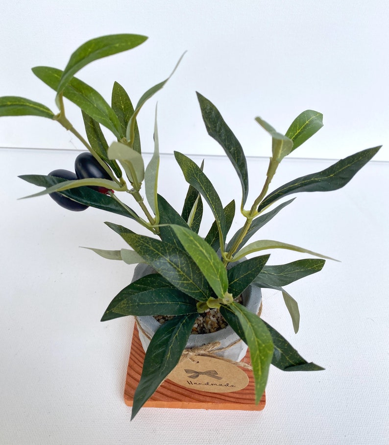 May include: A small potted olive tree with green leaves and black olives. The pot is made of grey concrete and sits on a small wooden base. The base has a brown tag that says "Handmade".