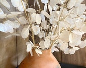 Artificial Silver Dollar Spray Eucalyptus Stem 30 quot - Faux Lunaria Money Branch - Silver Dollar, Money Plant - Honesty plant- Silk Flower