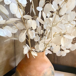 May include: A terracotta vase with a round, bulbous shape and a rough, textured surface. The vase is filled with dried white flowers with delicate stems.