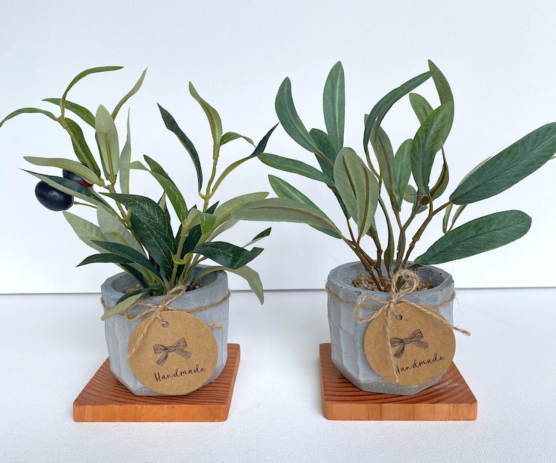 May include: Two small potted olive trees with grey concrete pots and brown wooden bases. Each pot has a brown paper tag with a white ribbon and the word "Handmade" printed on it.