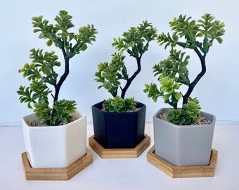 Small Artificial Bonsai Plant in white, black or grey Hexagon Pot with Bamboo Tray, Floating Shelve Decor, Kitchen Counter Deco, RV Deco