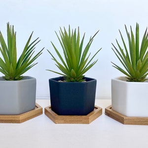 May include: Three hexagonal ceramic planters with wooden hexagonal bases. The planters are gray, black, and white. Each planter contains a green succulent plant.