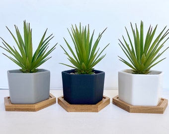 Small Artificial Succulent Plant in white, grey or black Hexagon Pot with Bamboo Tray - Fake Plant - Floating Shelve Decor - Cute Plant