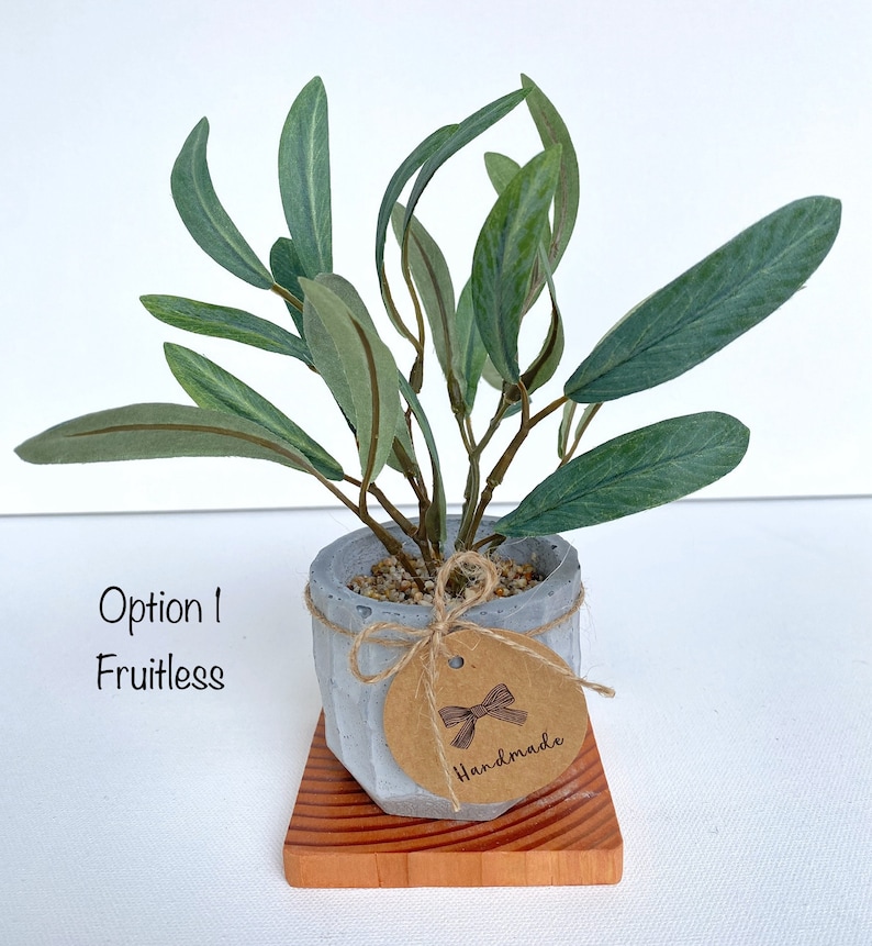 May include: A small, grey concrete planter with a brown paper tag that says "Handmade" and a brown bow. The planter is filled with a small, green, leafy plant and is sitting on a wooden base.