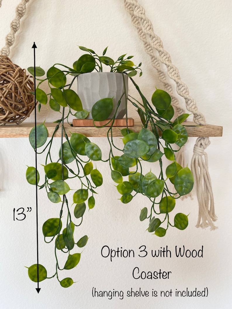 Puede incluir: Una estanter&iacute;a colgante con una planta artificial en una maceta gris. La planta es una variedad colgante y cuelga 33 cm. La estanter&iacute;a es de madera y tiene un posavasos de madera. Opci&oacute;n 3 con posavasos de madera (la estanter&iacute;a colgante no est&aacute; incluida).