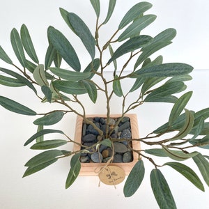May include: A small artificial olive tree in a square wooden planter with a brown paper tag that says "Hey Amanda". The planter is filled with small gray and brown stones.