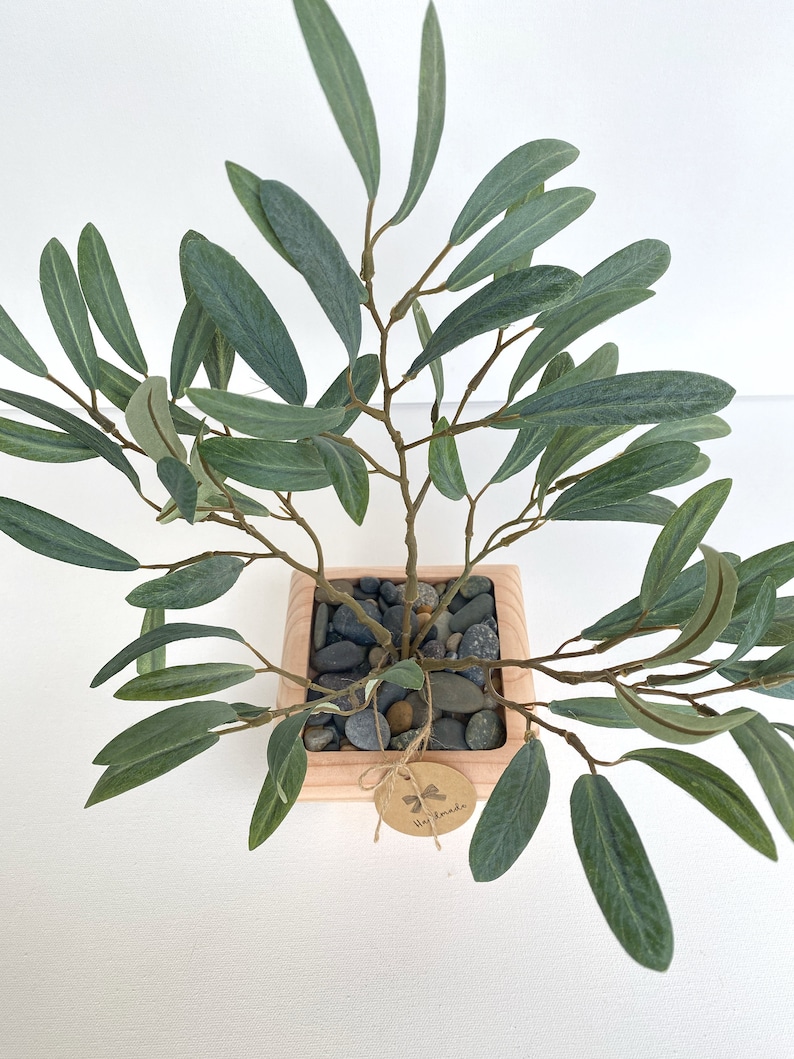 May include: A small artificial olive tree in a square wooden planter with a brown paper tag that says "Hey Amanda". The planter is filled with small gray and brown stones.