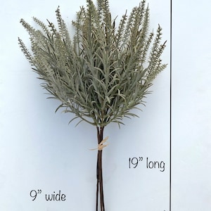 May include: A bouquet of artificial lavender stems with a grayish-green color. The stems are tied together with twine and measure 19 inches long and 9 inches wide.