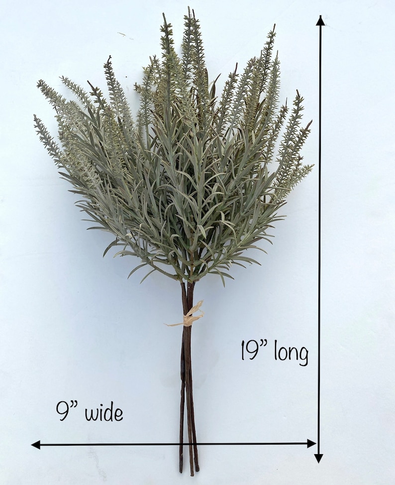 May include: A bouquet of artificial lavender stems with a grayish-green color. The stems are tied together with twine and measure 19 inches long and 9 inches wide.