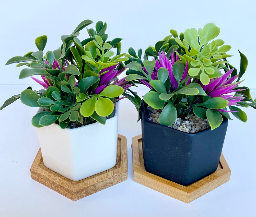 Small Artificial Plant in White or Black Hexagon Pot With Bamboo Tray