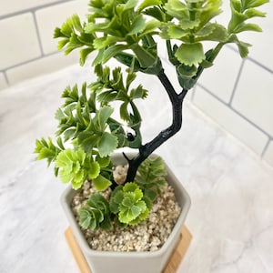 May include: A small artificial green plant with a black stem in a gray hexagonal pot with a wooden base. The pot is filled with white gravel.