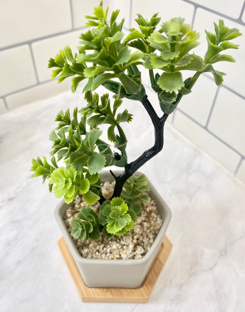 May include: A small artificial green plant with a black stem in a gray hexagonal pot with a wooden base. The pot is filled with white gravel.
