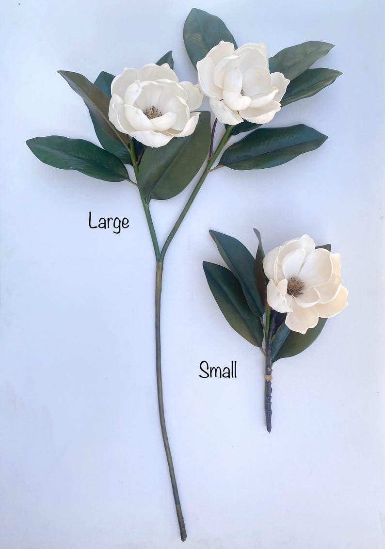 May include: Two artificial magnolia flower stems. One stem has three large white flowers and dark green leaves. The other stem has one smaller white flower and dark green leaves. The words "Large" and "Small" are written on the image.