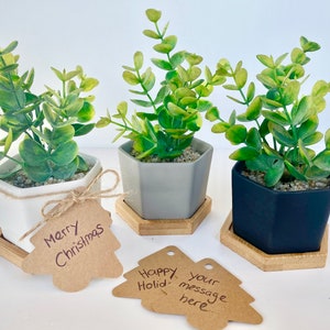 May include: Three small potted plants with hexagonal pots. The pots are white, gray, and black. Each pot is on a wooden hexagonal base. The plants are green and have a leafy texture. There are two brown paper gift tags with handwritten messages: "Merry Christmas" and "Happy Holidays, Your message here."