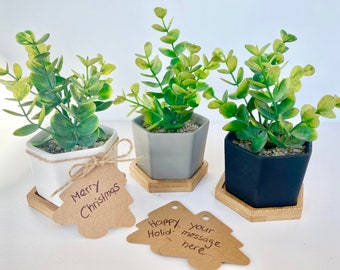 May include: Three small potted plants with hexagonal pots. The pots are white, gray, and black. Each pot is on a wooden hexagonal base. The plants are green and have a leafy texture. There are two brown paper gift tags with handwritten messages: "Merry Christmas" and "Happy Holidays, Your message here."