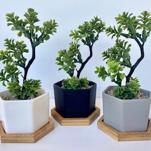 May include: Three artificial succulent plants in hexagonal pots with wooden bases. The pots are white, black, and gray.