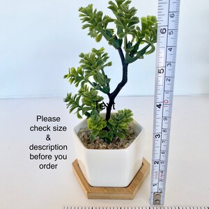 May include: A small artificial green plant in a white hexagonal pot with a wooden base. The plant is about 5 inches tall and is sitting on a white surface. A ruler is in the background to show the size of the plant. Please check size and description before you order.