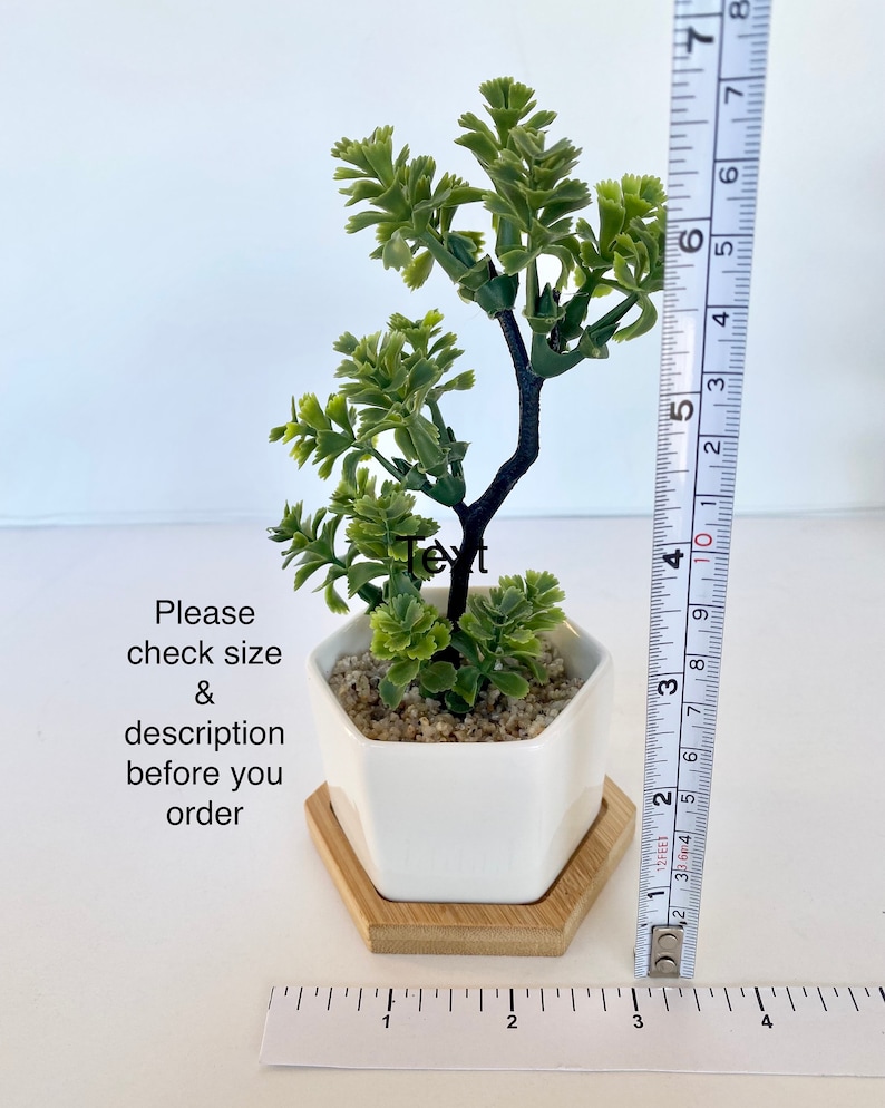 May include: A small artificial green plant in a white hexagonal pot with a wooden base. The plant is about 5 inches tall and is sitting on a white surface. A ruler is in the background to show the size of the plant. Please check size and description before you order.