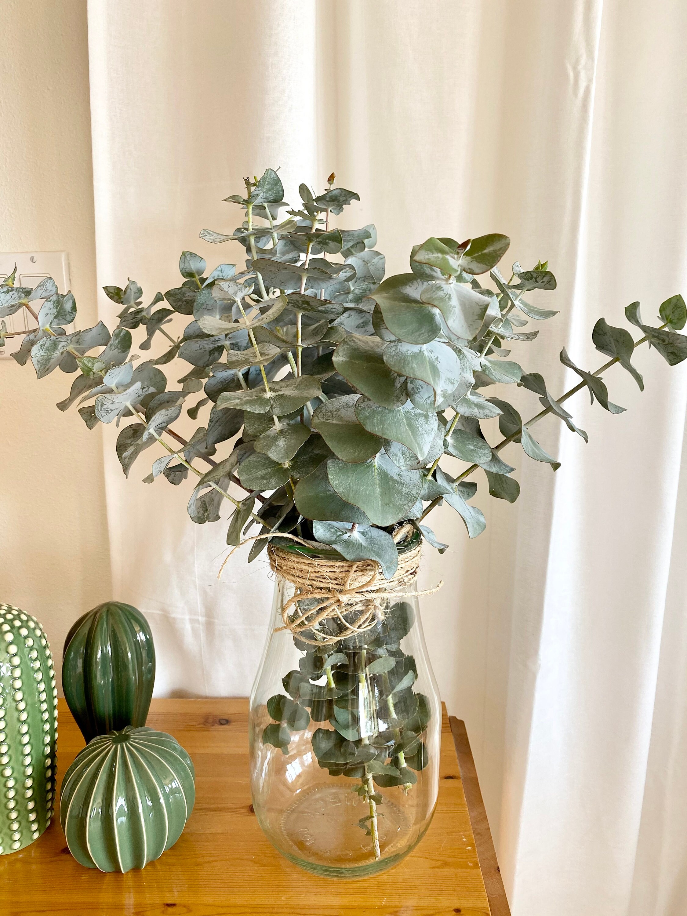 Fresh Eucalyptus Bunch Aromatic Scent Eucalyptus Bouquet Etsy