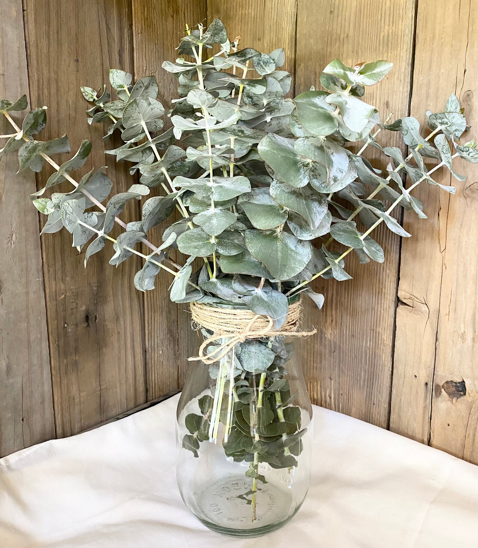 Fresh Eucalyptus Bunch Aromatic Scent Eucalyptus Bouquet Etsy