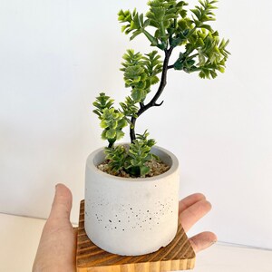 Artificial Bonsai Plant in a Handmade Concrete Pot with Wood Tray - Floating Shelf Decor, Kitchen Counter Deco, RV Decoration Fake Plant image 8