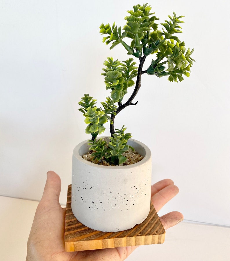 Artificial Bonsai Plant in a Handmade Concrete Pot with Wood Tray - Floating Shelf Decor, Kitchen Counter Deco, RV Decoration Fake Plant image 8