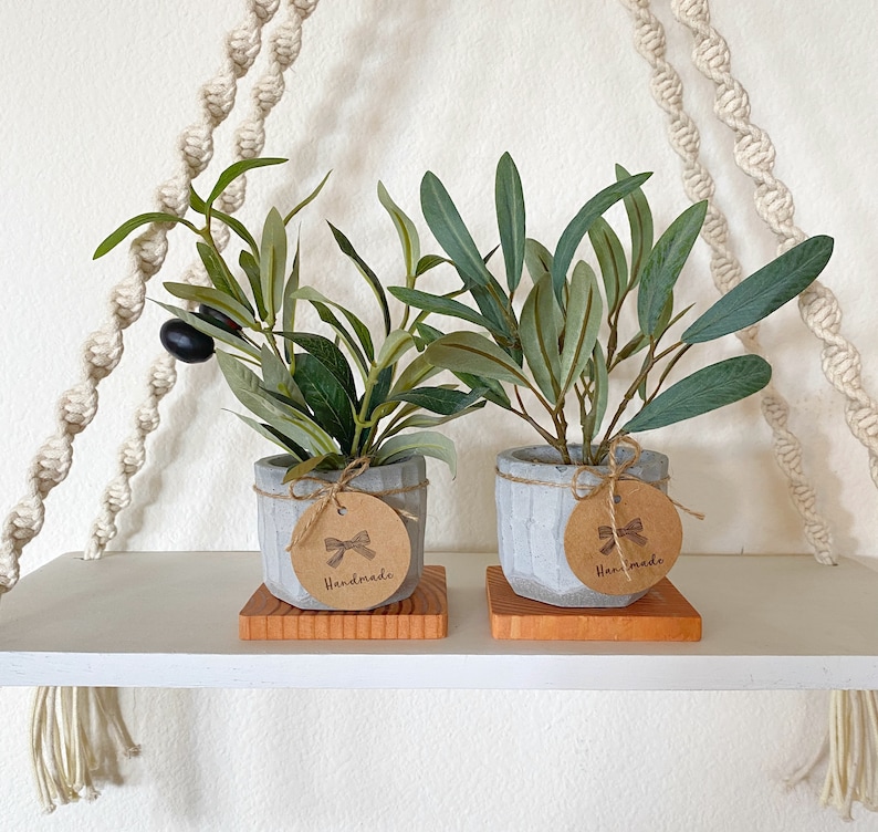 May include: Two small potted olive trees in grey concrete pots with brown paper tags that say "Handmade". The pots are sitting on a wooden shelf.