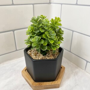 May include: A small artificial succulent plant in a black hexagonal planter with a wooden hexagonal base.