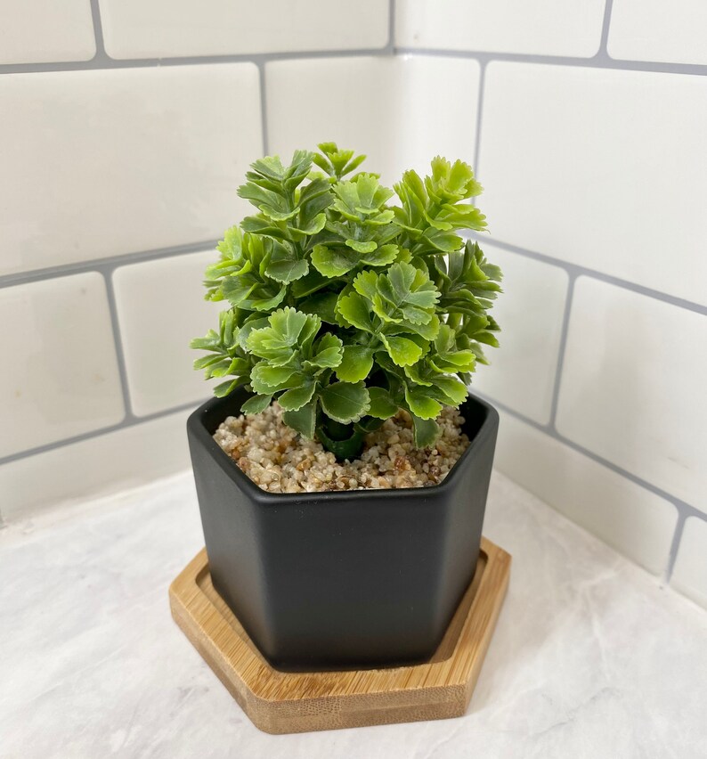 May include: A small artificial succulent plant in a black hexagonal planter with a wooden hexagonal base.