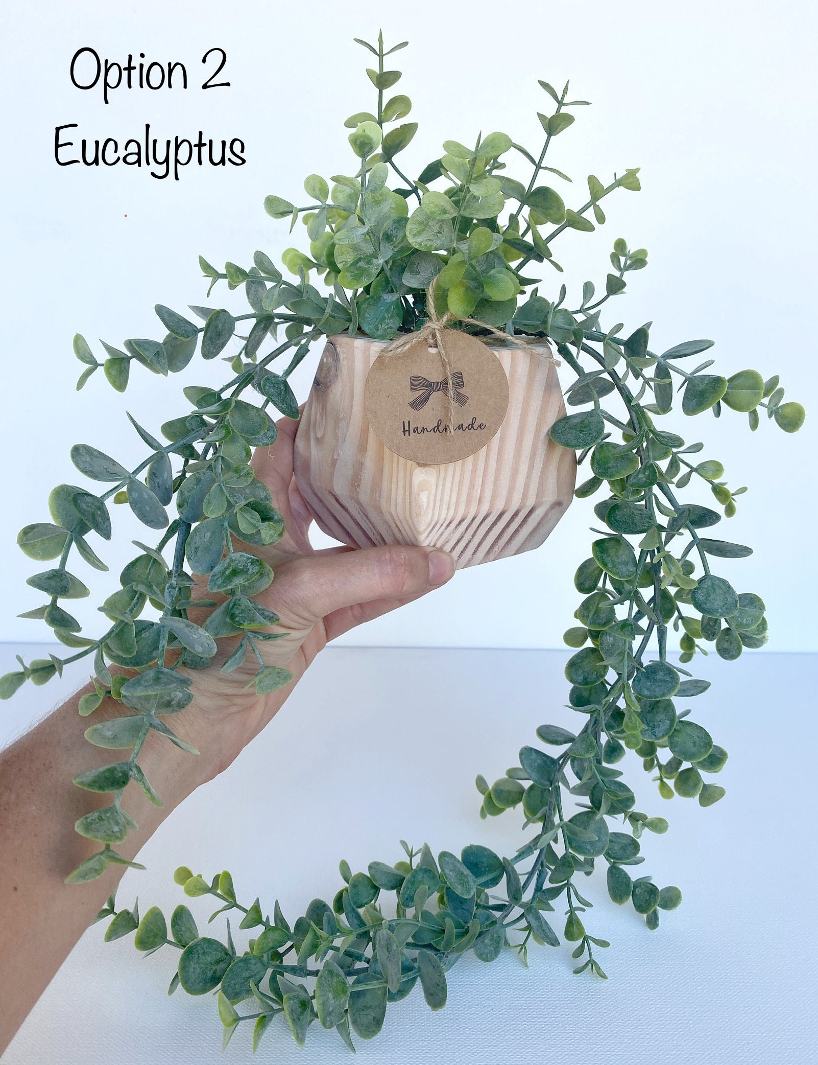 Hngende Faux Bambus oder Eukalyptus-Pflanze in handgefertigtem Holztopf -  Schwimmendes Regaldekor - Boho-Dekor - Hochwertige Kunstpflanze - Etsy.de