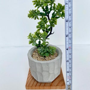 May include: A small artificial green plant in a gray concrete pot with a textured surface. The pot is sitting on a small wooden square base. The plant is about 6 inches tall.