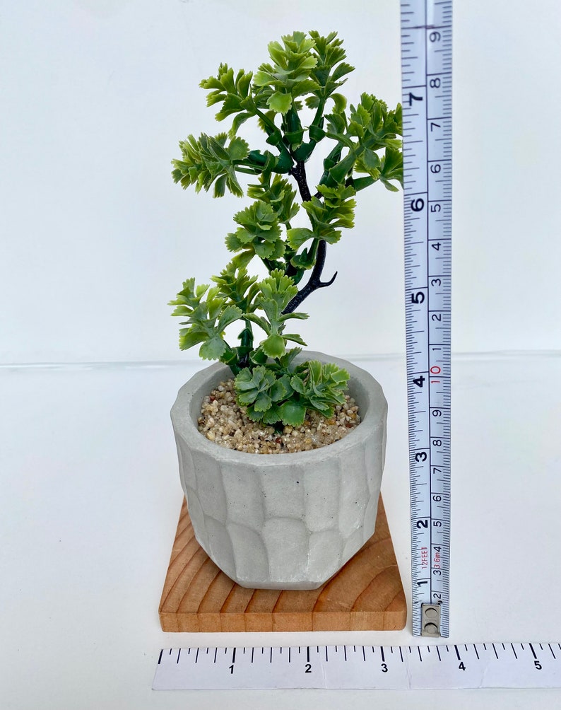 May include: A small artificial green plant in a gray concrete pot with a textured surface. The pot is sitting on a small wooden square base. The plant is about 6 inches tall.