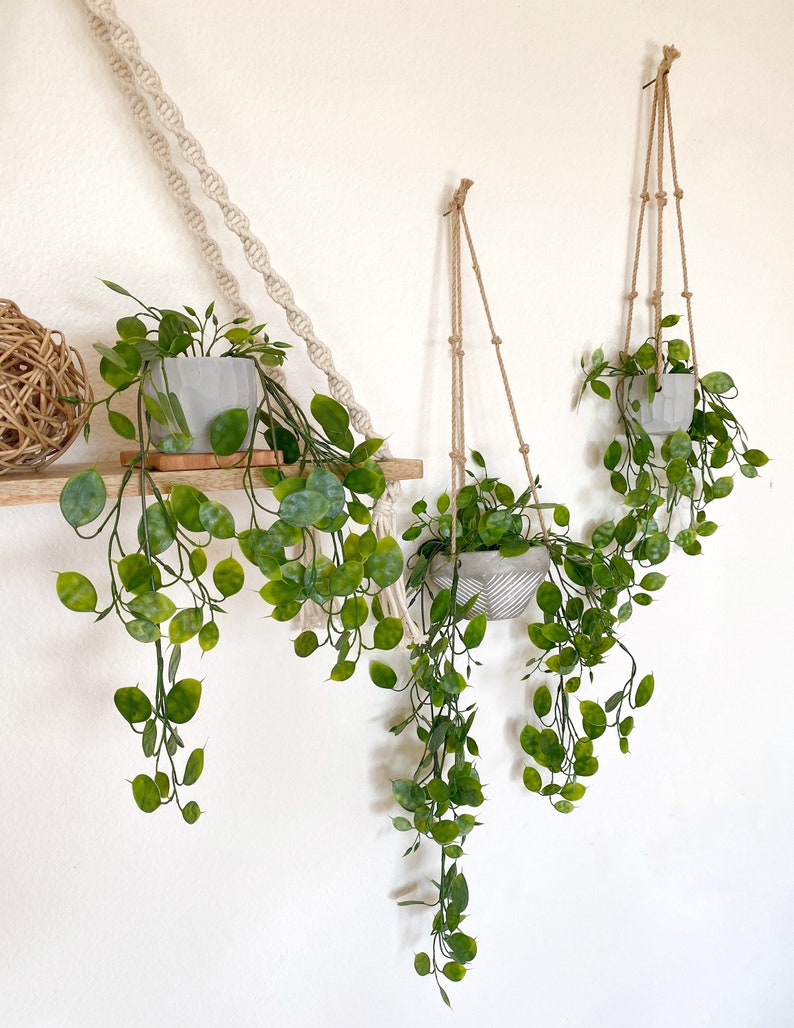 Puede incluir: Tres macetas colgantes con plantas verdes de hoja. Las macetas est&aacute;n hechas de hormig&oacute;n gris claro y cuelgan de cuerdas de macram&eacute;.