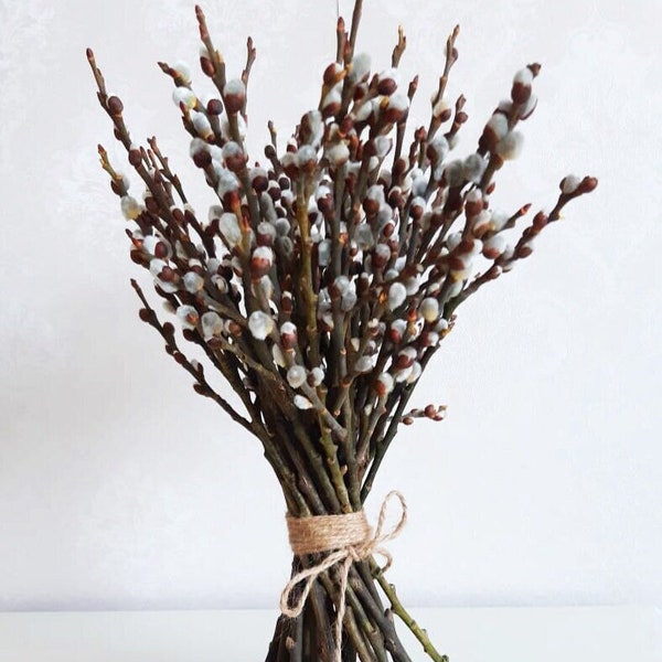 willow bouquet, willow twig, willow twigs, willow moss. Dry flower bouquet