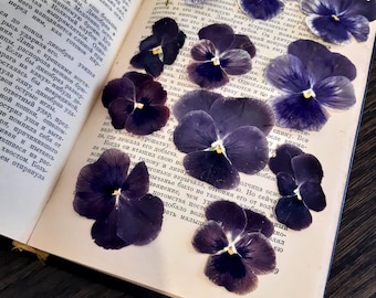 Set of flowers, pressed violet 10 pcs. Dry flowers for resin