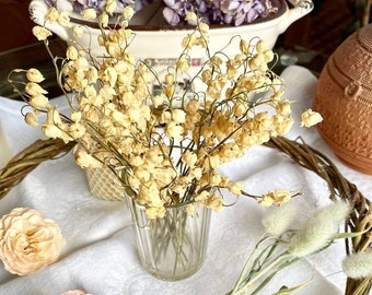 Lily of the Valley sprigs, Dried flower. White delicate flowers. Soap flower arrangement. Dry flowers for resin