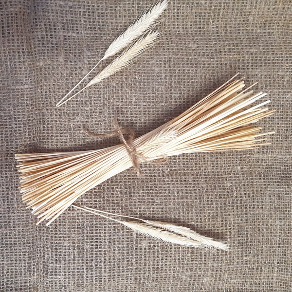 Long Dried Wheat Straws 100 pcs, Stems for crafts, for Floristry Home Decor, Handmade, Natural