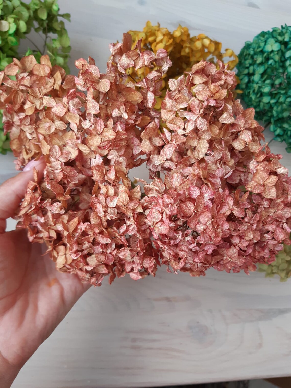 Dried Hydrangea heads Hydrangea without a stem head 57 Etsy