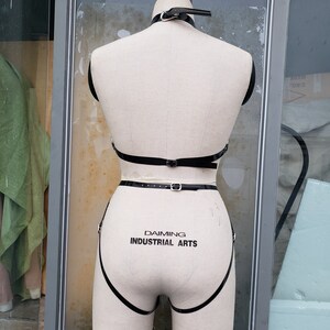 May include: Black leather harness with straps and buckles. The harness has a  "Daiming Industrial Arts" label on the front.
