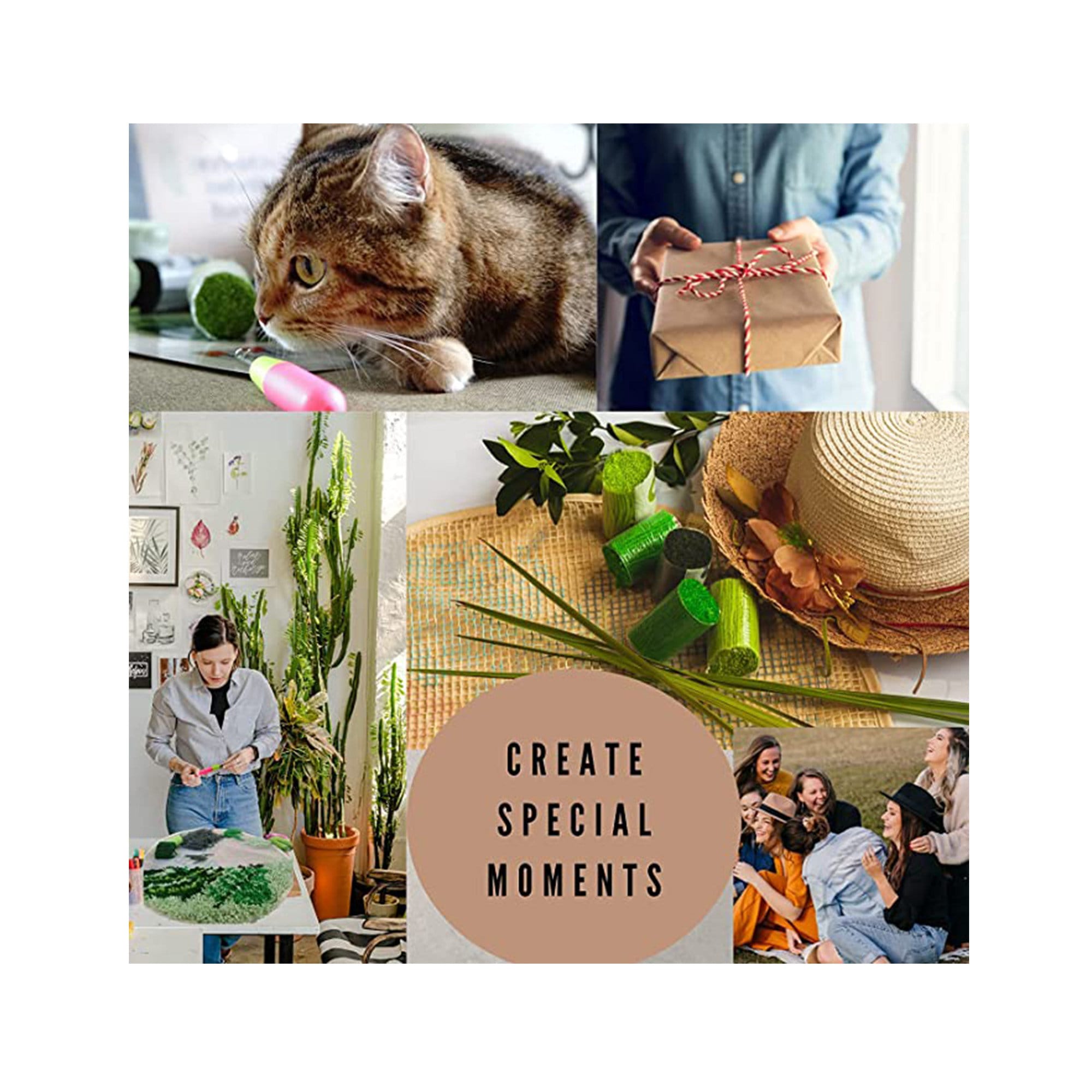 Cactus Desert Latch Hook Kit - Make Your Own DIY Rug, Pillow Or Wall Hanging (20x15 Inch)