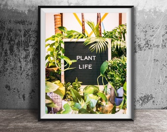 PLANT LIFE - Unframed Photography Print - Message Board, Word Art Print - Home Decor, Apartment Art, Kitchen Decorations, Family Room