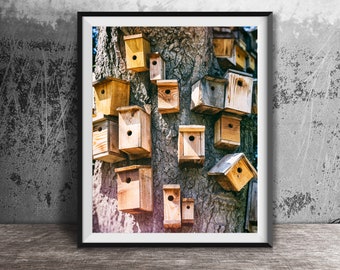 BIRD HOUSES Photography Print - BIRDHOUSE Wall Art - Unframed Wall Art Print