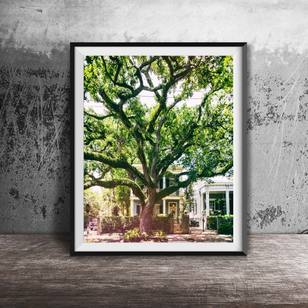 New Orleans, Garden District Photography Print - Original Unframed Wall Art - NOLA Architecture Prints